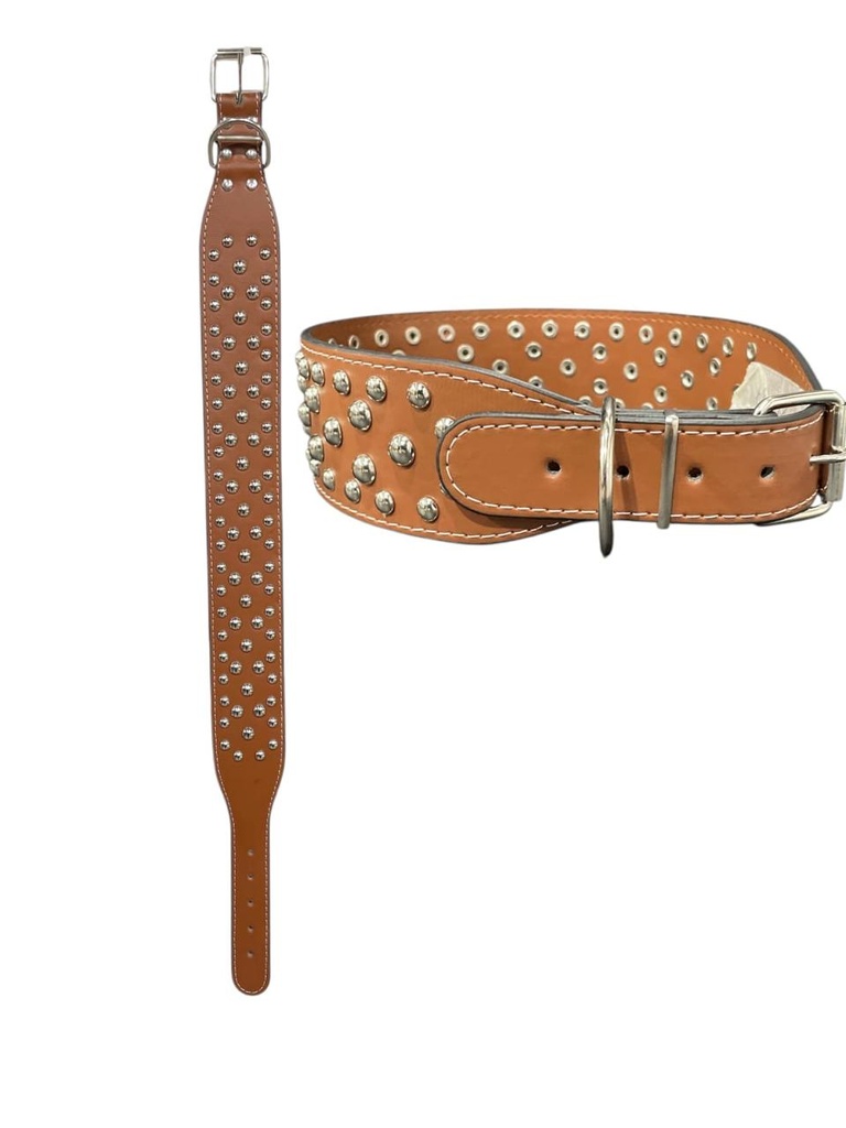 COLLAR PARA PERRO PELOTITA 6 CM X 67CM
